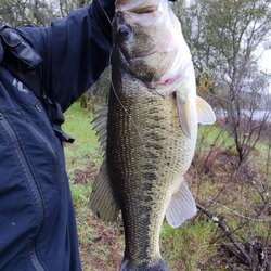 New Coastside 2 Bait & Tackle - Early spring, rainy day bed fish.