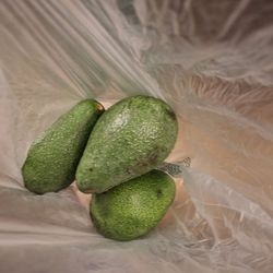Cal Poly Pomona Farm Store - Fuerte avocados from Cal Poly Pomona Farm store