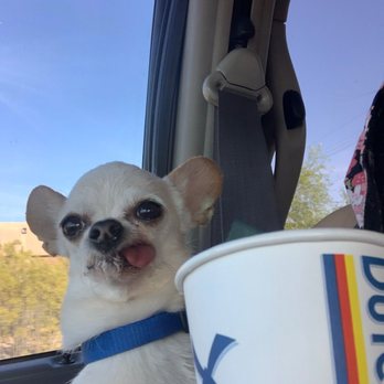 Dutch Bros Coffee - A boy and his pup cup - Coffee & Tea Near Me - Phoenix, Arizona Dutch Bros Coffee - A boy and his pup cup - Coffee & Tea Near Me - Phoenix, Arizona