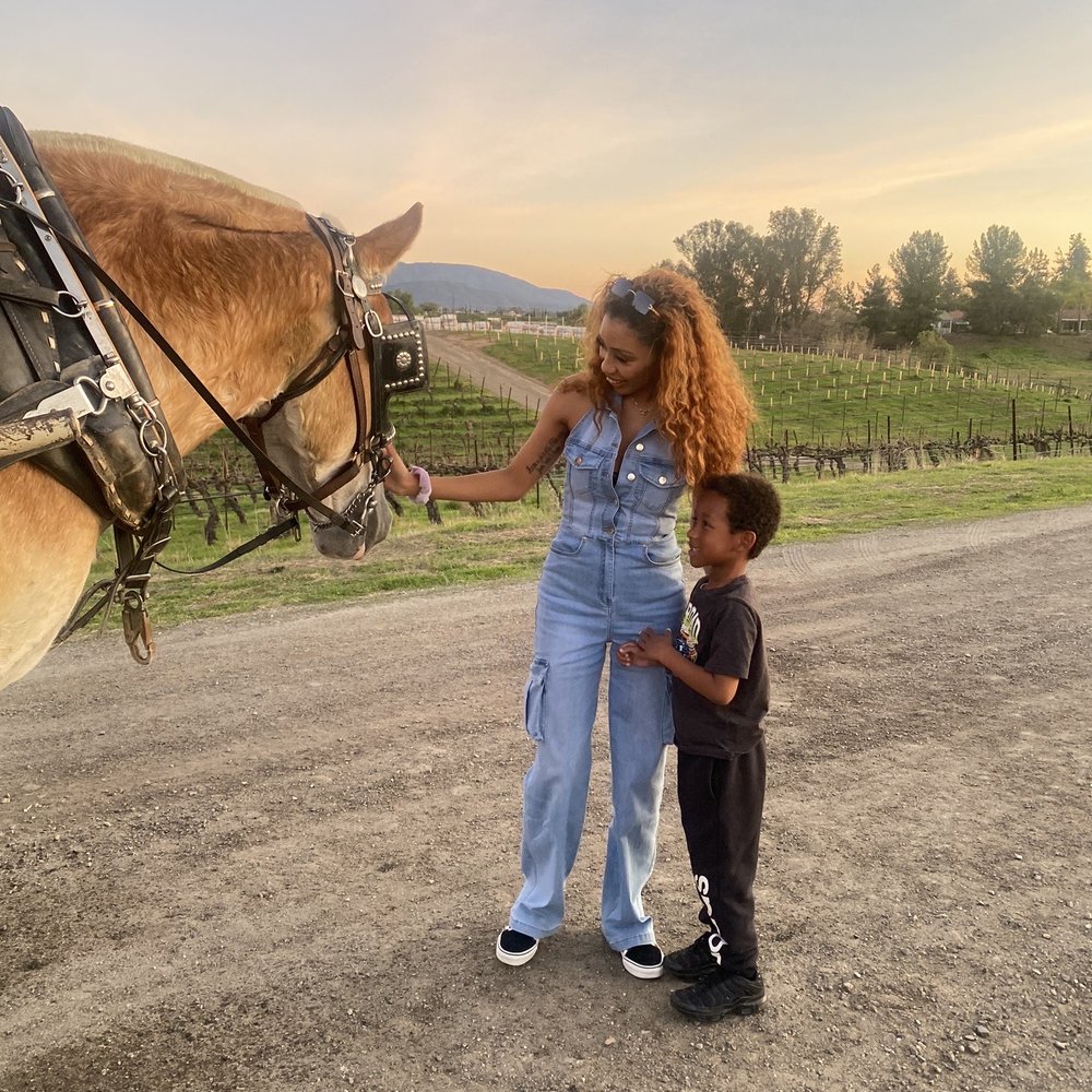 Temecula Carriage Company - Wine Tours Near Me - Temecula, California Temecula Carriage Company - Wine Tours Near Me - Temecula, California