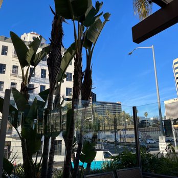 Islands Restaurant - Patio view - Burgers Near Me - Long Beach, California Islands Restaurant - Patio view - Burgers Near Me - Long Beach, California
