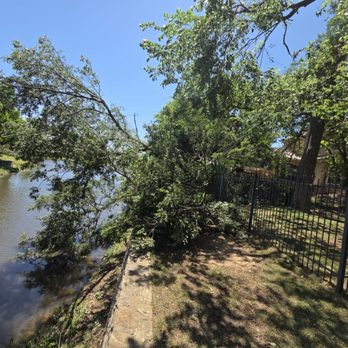 Floran Tree Service - Tree Services Near Me - Fort Worth, Texas