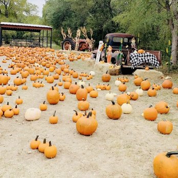 Owl Creek and Pumpkin Patch - Pumpkin Patches Near Me - San Antonio, Texas