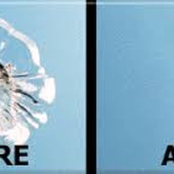Bills Windshields - Windshield Installation & Repair Near Me - San Jose, California Bills Windshields - Windshield Installation & Repair Near Me - San Jose, California
