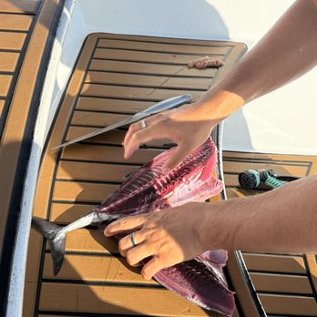 Ally Cat Sailing - Boat Tours Near Me - Sayulita, NAY Ally Cat Sailing - Boat Tours Near Me - Sayulita, NAY