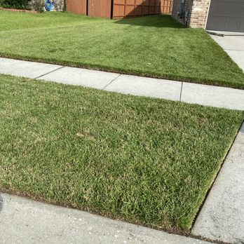 Task Lawn Service - a view of a residential yard - Lawn Services Near Me Task Lawn Service - a view of a residential yard - Lawn Services Near Me