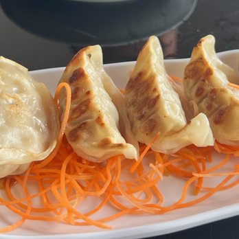 Yanagi Sushi - Gyoza - Japanese Near Me - Rogers, Minnesota