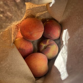 Prewetts Fruit Stand & Fireworks - Can't wait for these to ripen - Fireworks Near Me - Calhoun, Georgia Prewetts Fruit Stand & Fireworks - Can't wait for these to ripen - Fireworks Near Me - Calhoun, Georgia