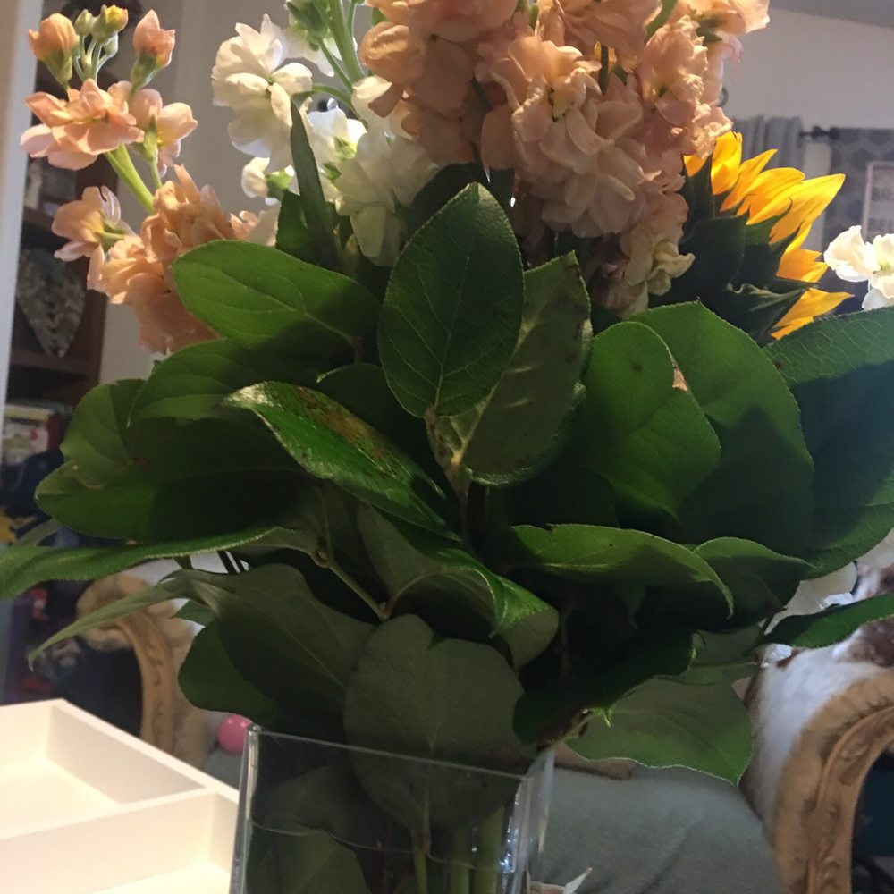 Magnolia Flowers - Any mom would love these beautiful flowers - Florists Near Me - Riverside, California