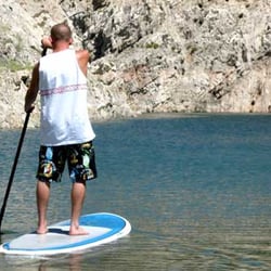Heavy tank with HIC Board Shorts.