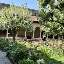 The Met Cloisters - Garden.