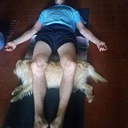 Yoga Farm - Matt in Savasana with the help of our other Yoga Farm mascot, Dazy.