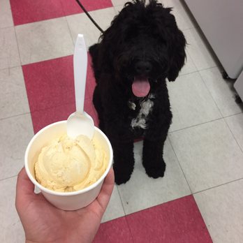 Alphabet Scoop - Pumpkin Spice Ice Cream! - Ice Cream & Frozen Yogurt Near Me - New York, New York Alphabet Scoop - Pumpkin Spice Ice Cream! - Ice Cream & Frozen Yogurt Near Me - New York, New York