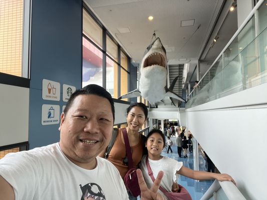 Osaka Aquarium Kaiyukan by null