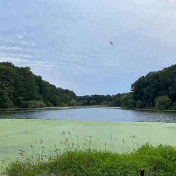 Oakland Lake - Amazing scenery! - Lakes Near Me - Oakland Gardens, New York Oakland Lake - Amazing scenery! - Lakes Near Me - Oakland Gardens, New York