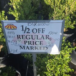 Price marked $30, charged $35. Even with a photo, the manager refused to honor it. Poor customer service. Very disappointing.