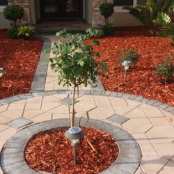 Re-Landscape Picture 7- Court Yard Brought To Life With A Rose Tree