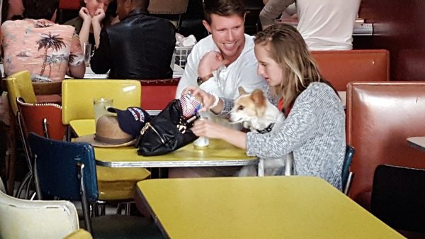 Latin American Club by null