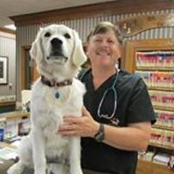 Southland Animal Hospital