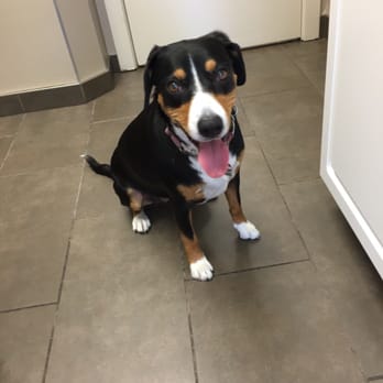 Acadia Drive Animal Clinic - Veterinarians Near Me - Calgary, Alberta Acadia Drive Animal Clinic - Veterinarians Near Me - Calgary, Alberta