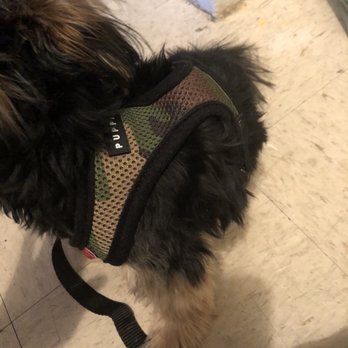 Who's your Doggy - Harness by puppia - Pet Stores Near Me - Brooklyn, New York Who's your Doggy - Harness by puppia - Pet Stores Near Me - Brooklyn, New York