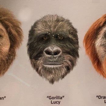 Creation Museum - Museums Near Me - Petersburg, Kentucky