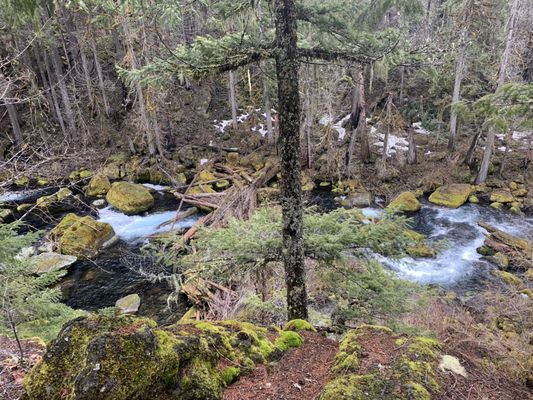 Tamolitch Falls (Blue Pool) by null