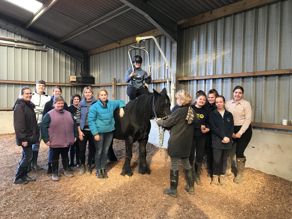 HORSEPLAY Newport, East Riding of Yorkshire, United Kingdom Yelp