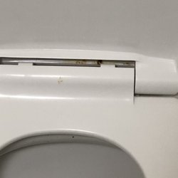 Bojo's Grill & Sports Club - Toilet had brown stuff on it