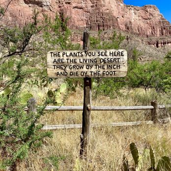 Bright Angel Trail - Hiking Near Me