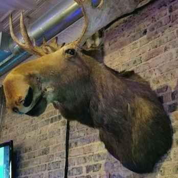 The Lazy Moose - The moose - Cocktail Bars Near Me - Fort Worth, Texas The Lazy Moose - The moose - Cocktail Bars Near Me - Fort Worth, Texas