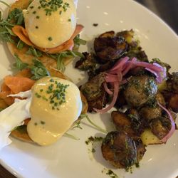 Begginnings - Salmon Bene