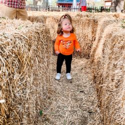 Fritz Park - Straw Maze