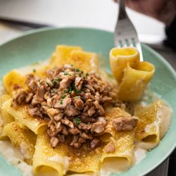 Le Coq & Fils - The Poultry House - At lunch time have a plat du jour with us, here the famous Mac & cheese with poultry fricassée. 19 euros