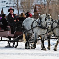 Buckaroos Horse-Drawn Rides - Go dashing through the snow on a winter sleigh ride