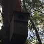 Photo of Downfall Creek Bushlands Centre