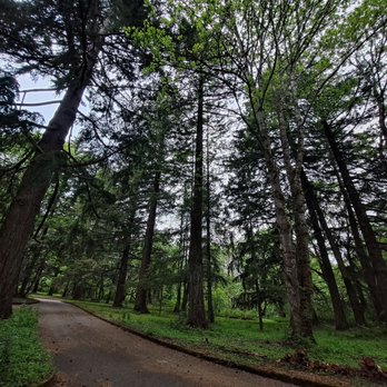 Wyeth Campground - Trees - Campgrounds Near Me - Cascade Locks, Oregon