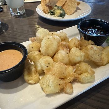 Thirsty Lion - Music Factory - Cheese curds- best thing we ordered - American Near Me - Irving, Texas