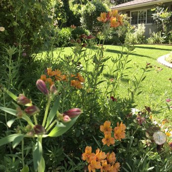 Jose The Gardener - Doing my best to keep my clients houses looking good for spring. - Landscaping Near Me Jose The Gardener - Doing my best to keep my clients houses looking good for spring. - Landscaping Near Me