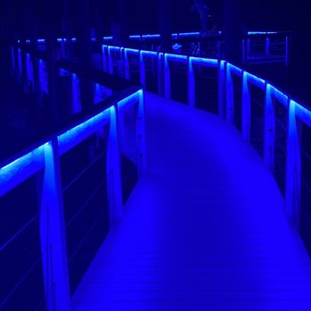 Bon Appetit - You can view the walkway from the restaurant. - New American Near Me - Dunedin, Florida