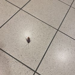 Rowan Regional Medical Center - ER Waiting Room bugs!!!!!