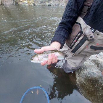 Kern River Fly Shop - Another nice trout - Fishing Near Me - Kernville, California