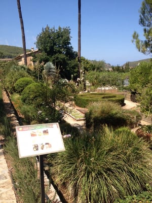 MUCBO | Jardí Botànic de Sóller by null