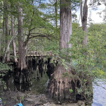 Morrison Springs - Parks Near Me - Ponce de Leon, Florida Morrison Springs - Parks Near Me - Ponce de Leon, Florida