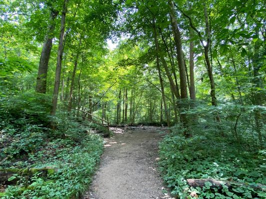 Glen Helen Nature Preserve by null