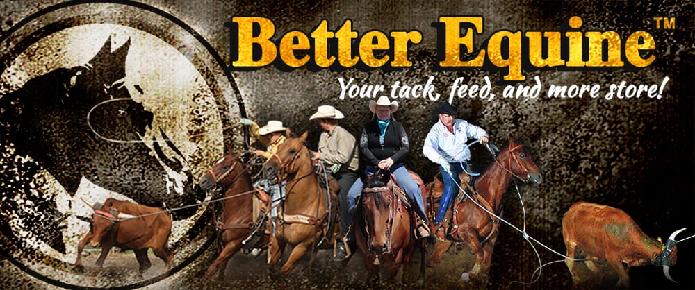 Better Equine - equestrian in Paola, KS