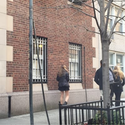 The Birch Wathen Lenox School