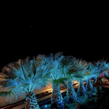 Death Valley Hot Springs - Very cool night time vibes around the property. - Hotels Near Me - Tecopa, California Death Valley Hot Springs - Very cool night time vibes around the property. - Hotels Near Me - Tecopa, California