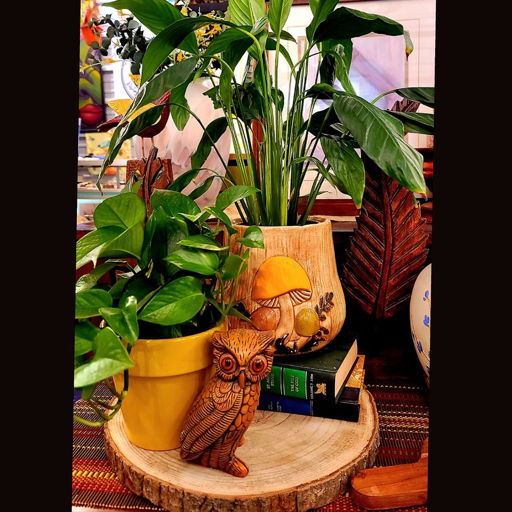 ALLEYCAT VINTAGE THRIFT Updated September 2024 23 Photos 14409