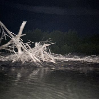 Las Tortugas Adventures - Mangrove - Rafting/Kayaking Near Me - Canóvanas, Puerto Rico